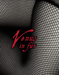 Venus In Fur